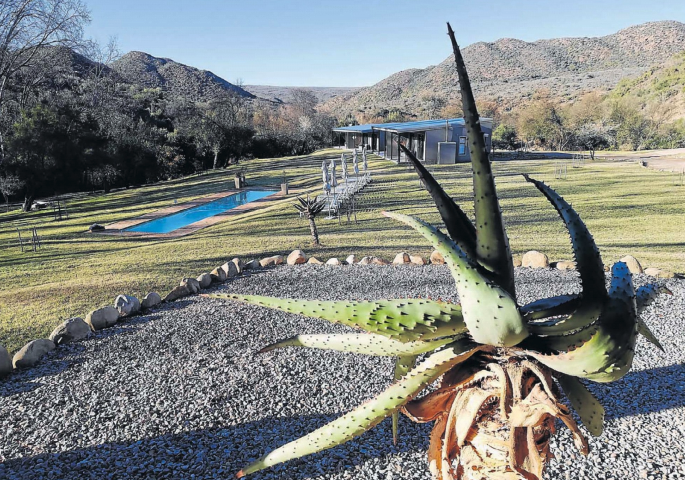 Aloe at Oudtshoorn Game Reserve Gardens