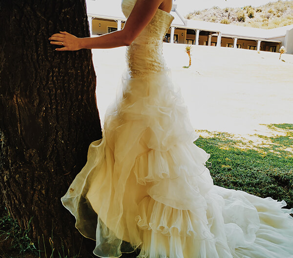 Wedding Venue at Wildehondekloof in Oudtshoorn