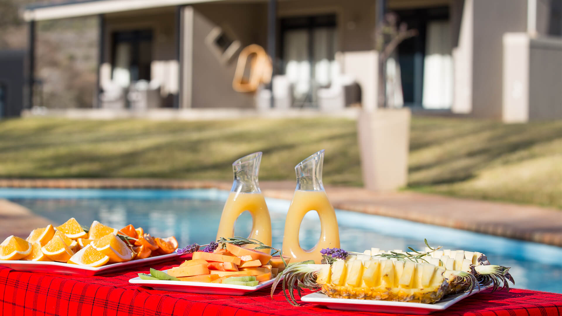 Wildehondekloof Swimming Pool