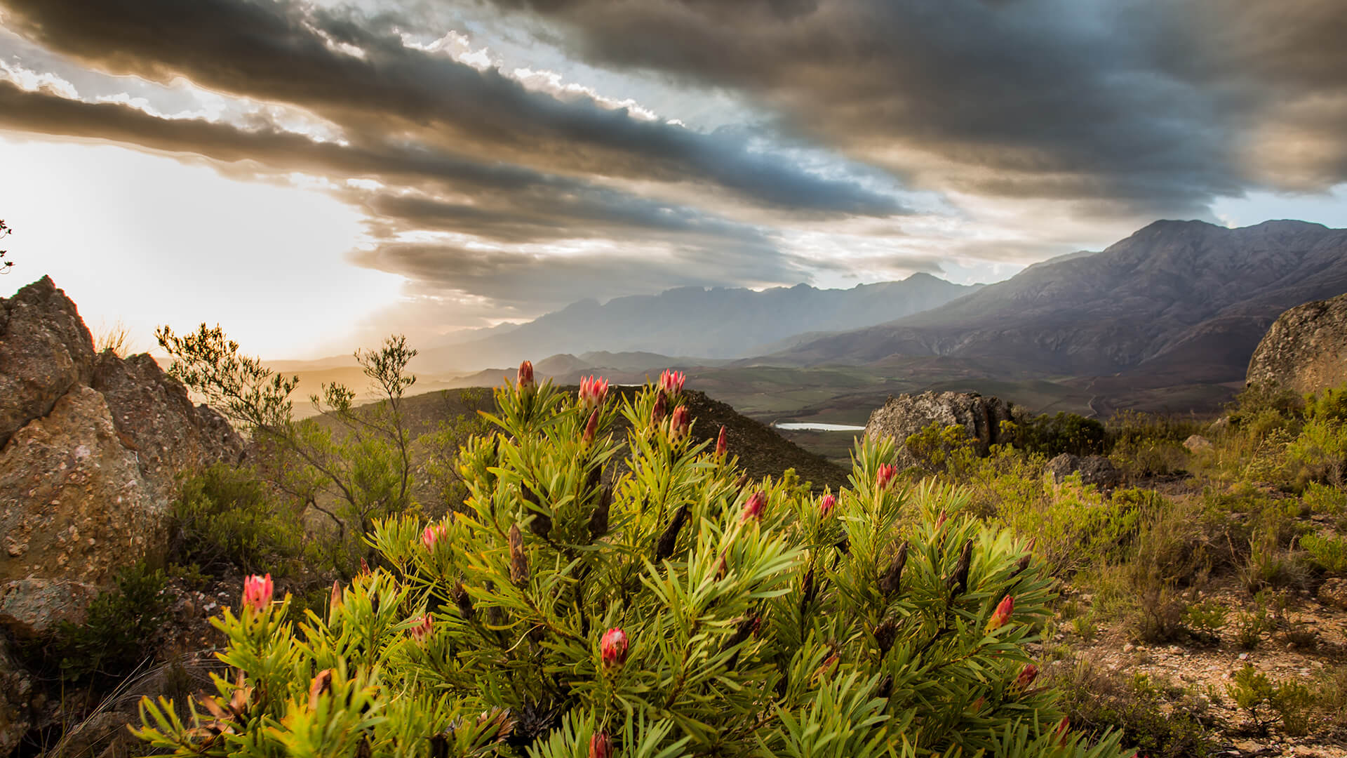 Wildehondekloof Game Reserve in Oudtshoorn