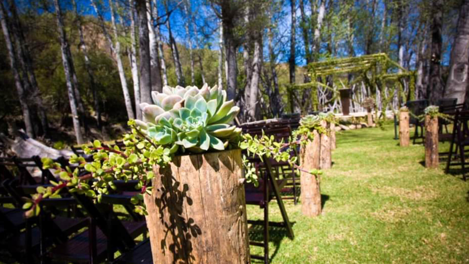 Wildehondekloof Game Reserve in Oudtshoorn