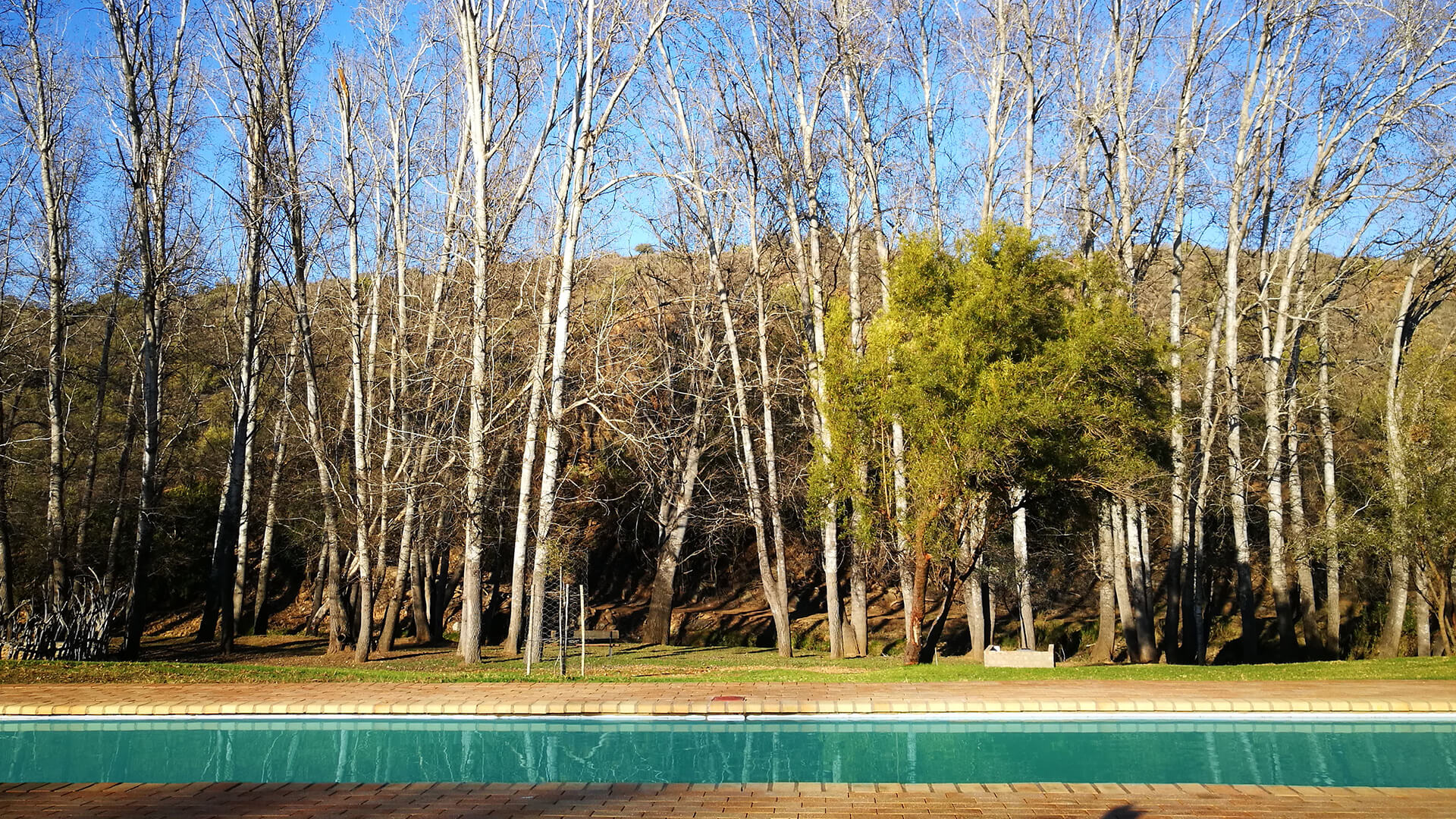 Wildehondekloof Scenic View by the Pool