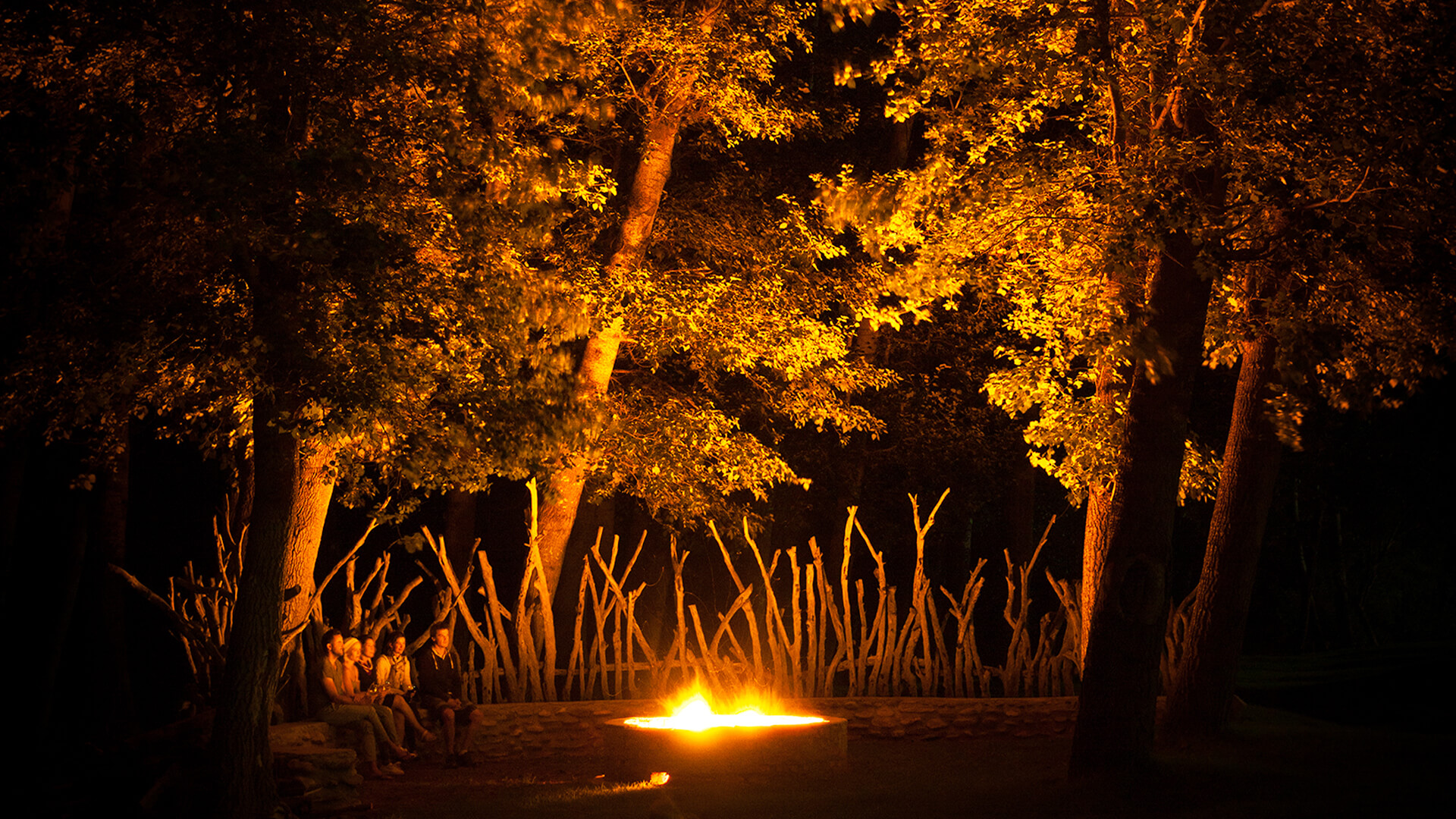 Wildehondekloof Group Fires