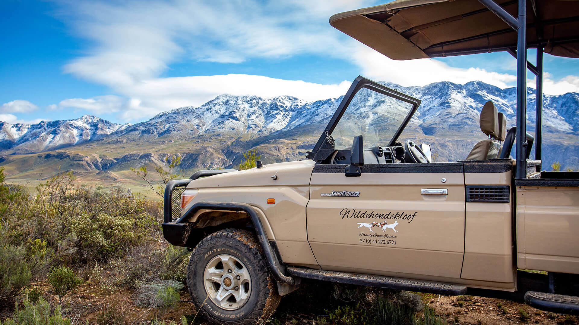 Guided Game Drives in the Reserve