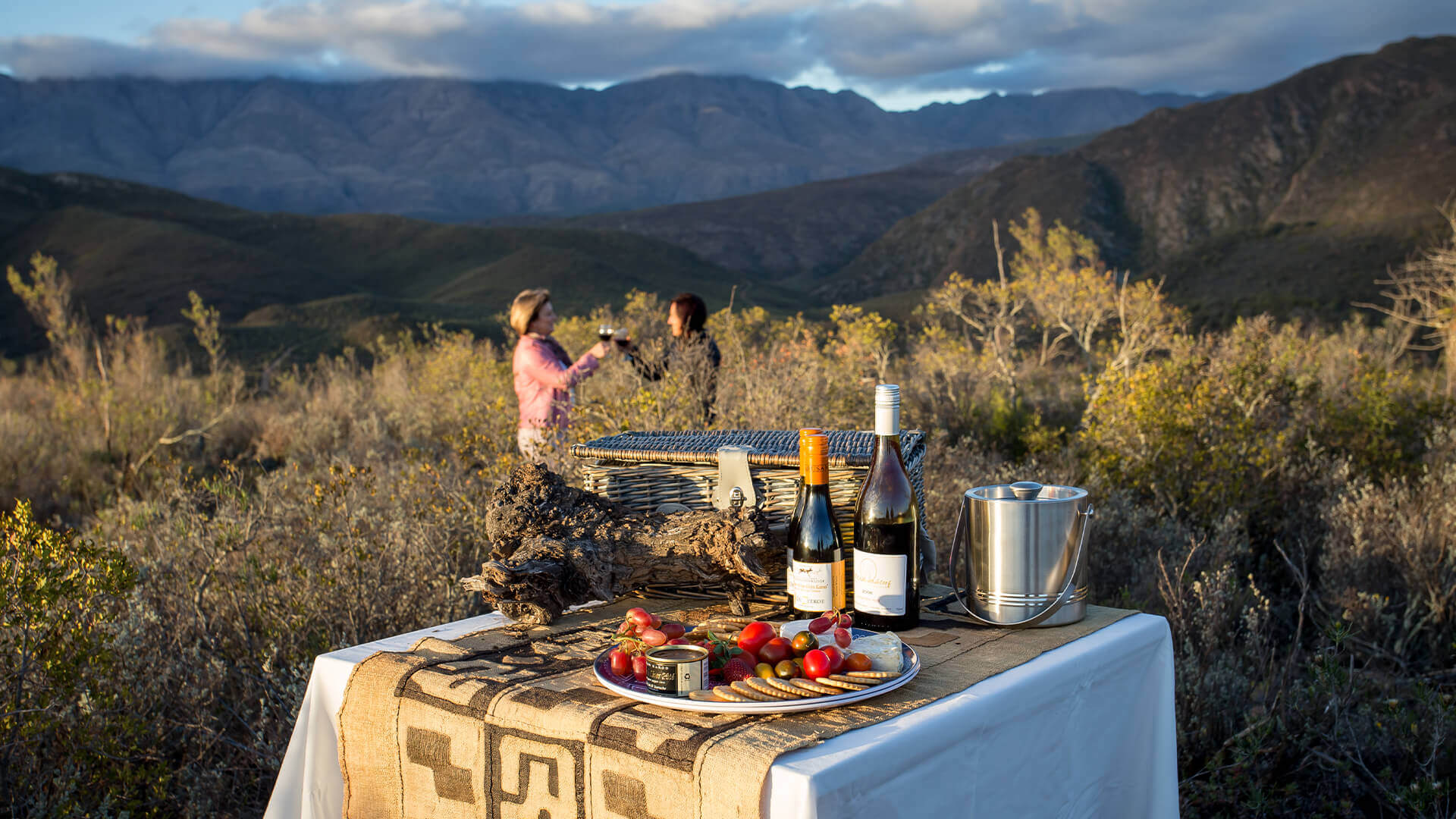 Safari Activities at Wildehondekloof