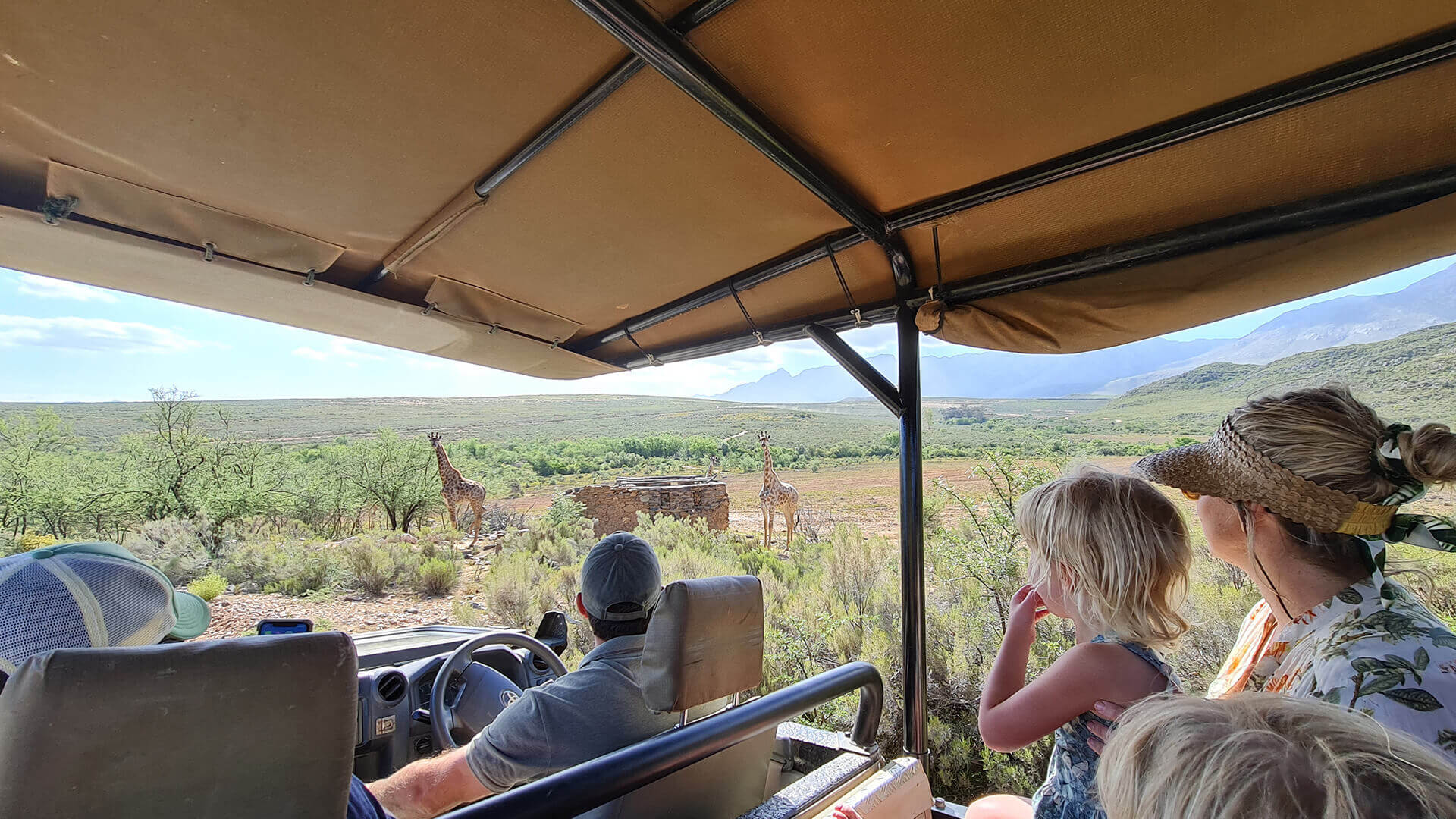 Wildehondekloof Family Game Drive