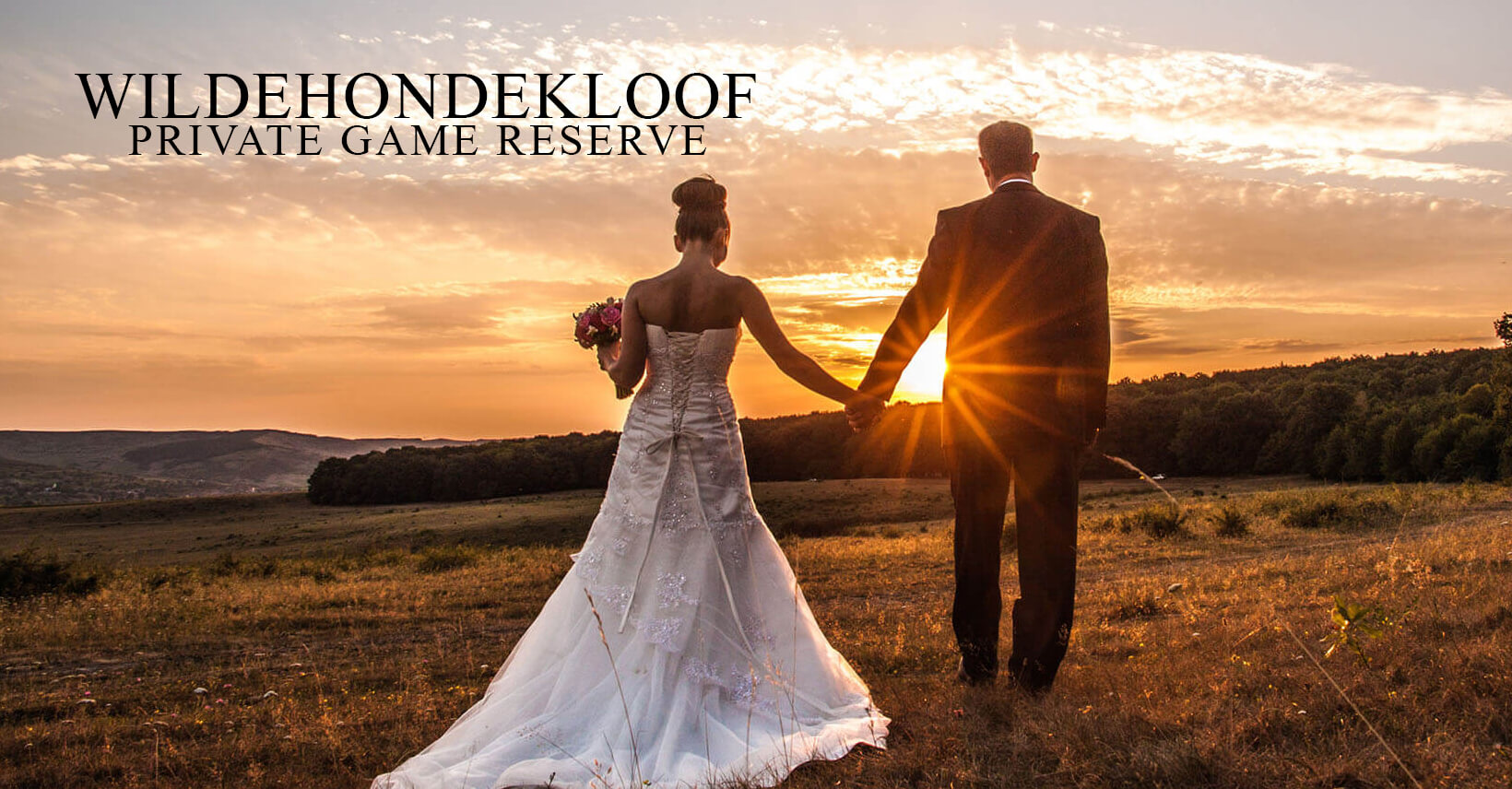 Oudtshoorn Wedding Venue & Activities Wildehondekloof