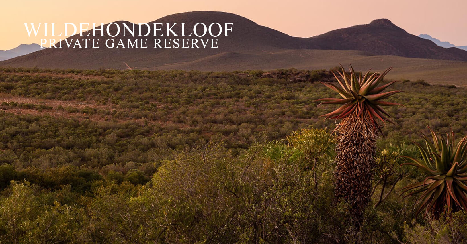 Oudtshoorn Game Lodge Images Wildehondekloof Game Reserve