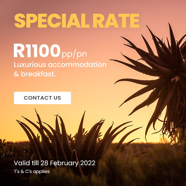Special Rate R1100 pp/pn - Contact Us