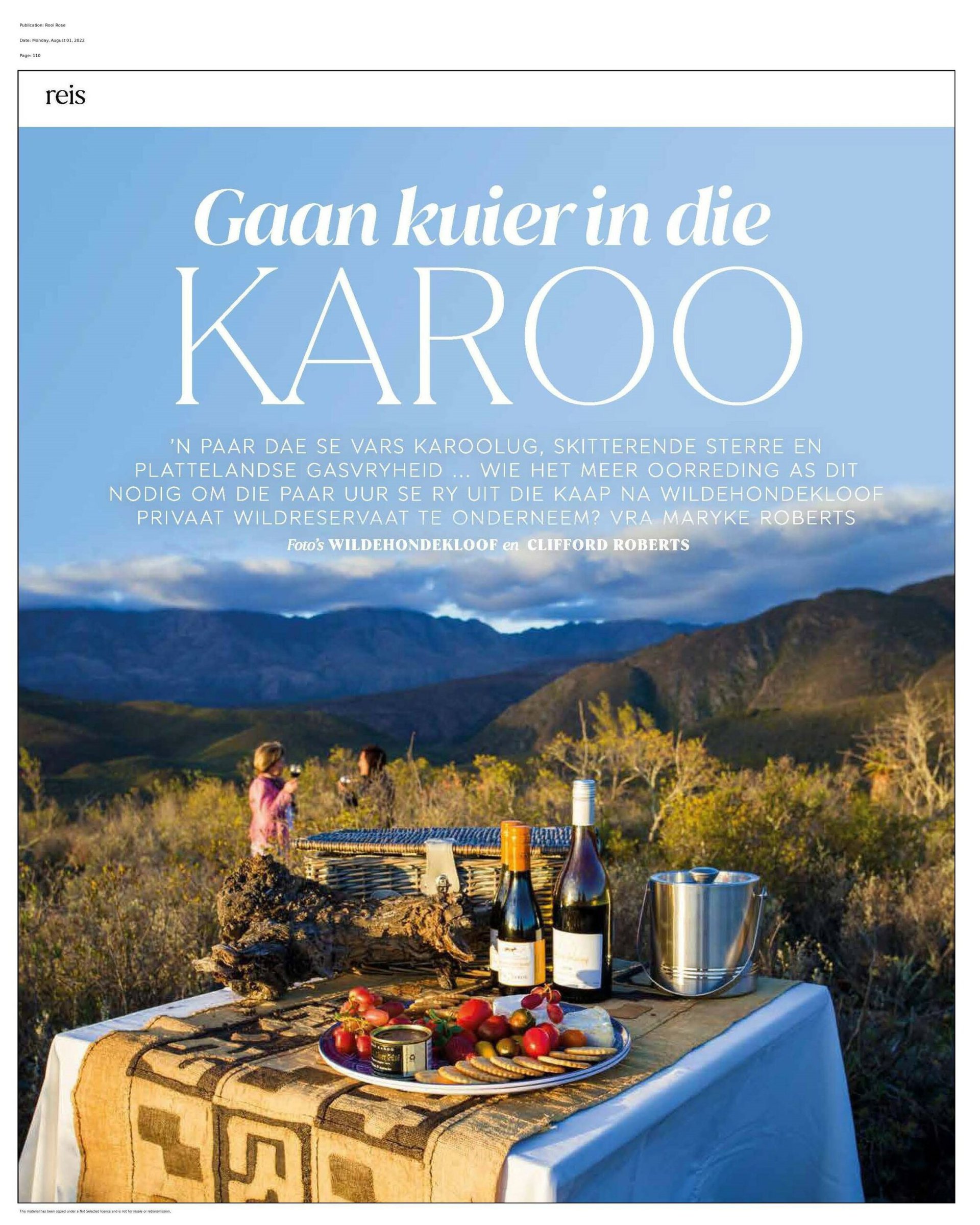 Gaan Kuier in die Karoo Rooi Rose