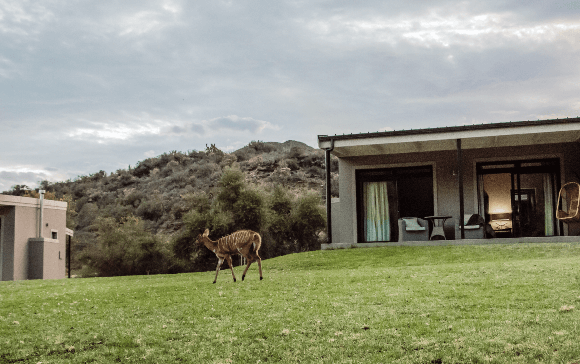 Experience The Wildehondekloof Private Game Reserve