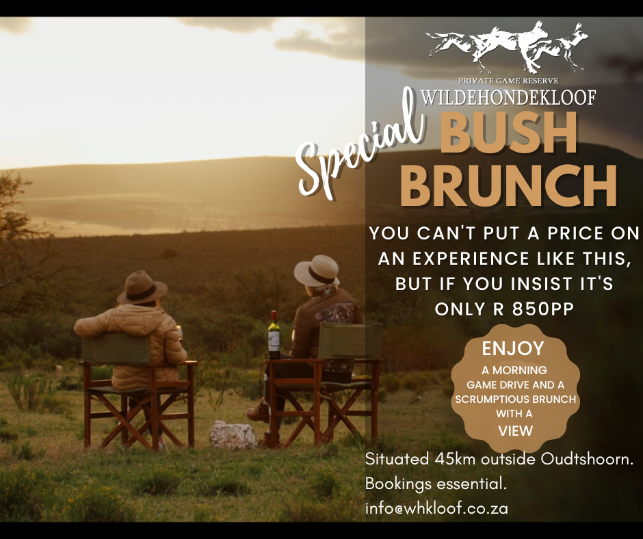 Special Bush Brunch at Wildehondekloof