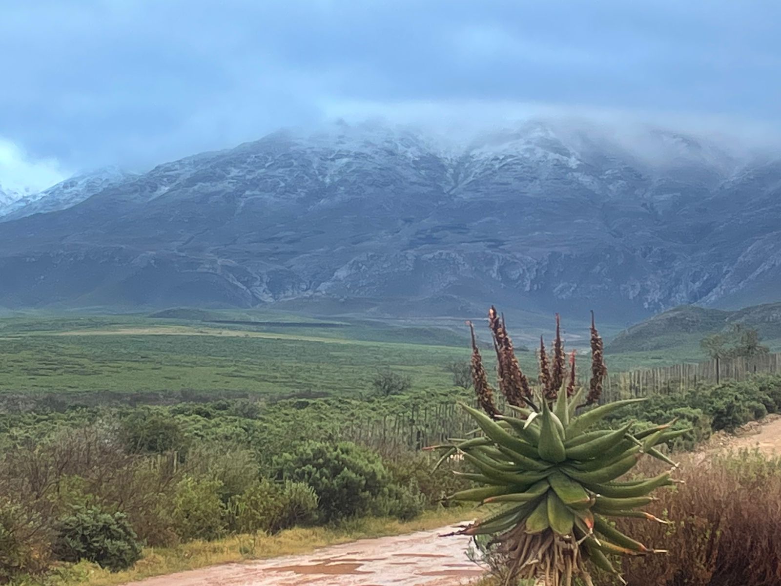 Klein Karoo Klassique an Enchanting Music Fest