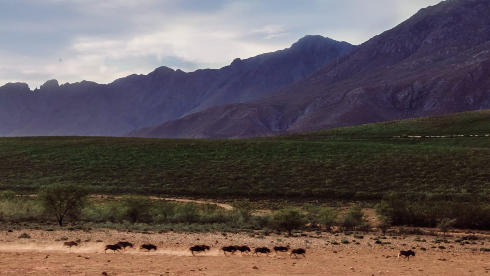 wildehondekloof game reserve (12)