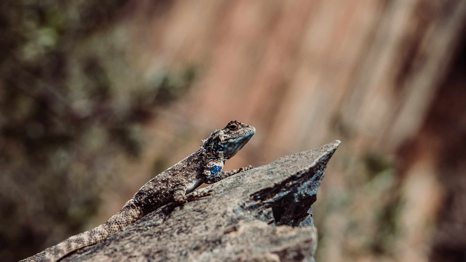 wildehondekloof game reserve (23)