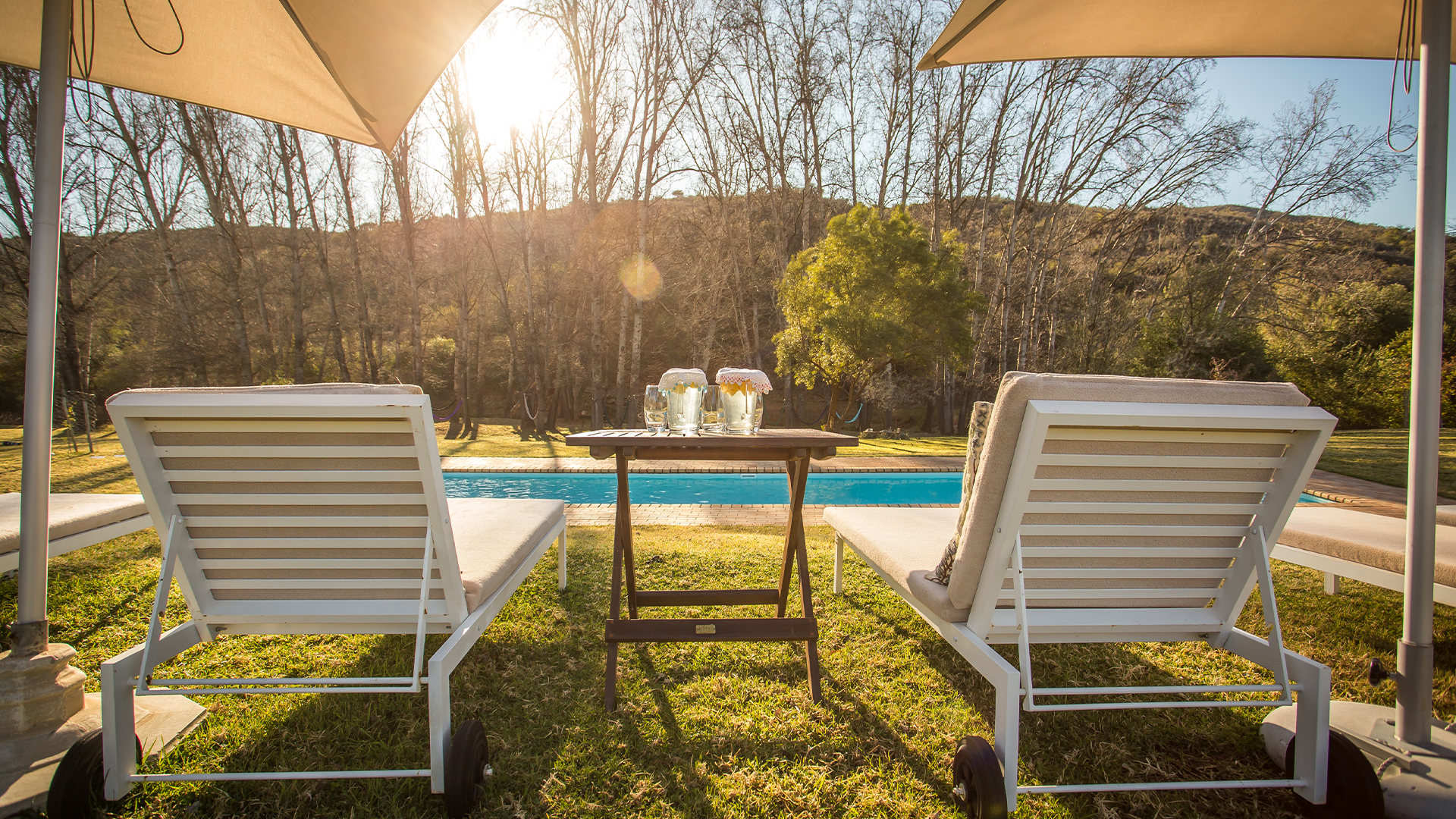 Poolside relaxation at Wildehondekloof Game Reserve featuring two outdoor lounge chairs