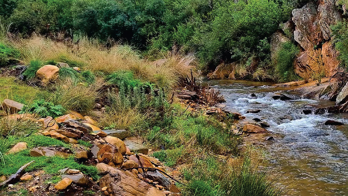 Scottish Highlands at Wildehondekloof