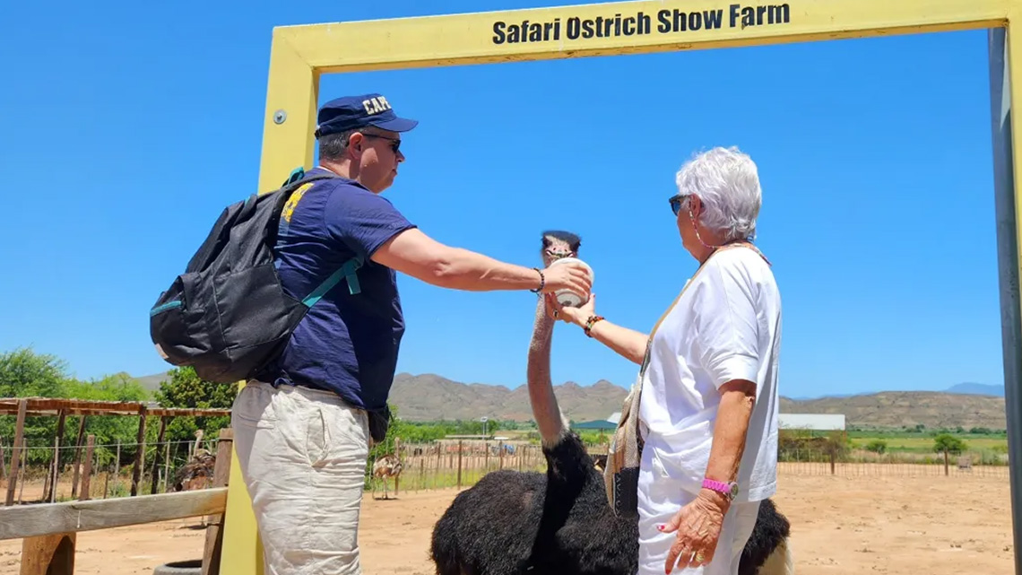 Safari Ostrich at Wildehondekloof