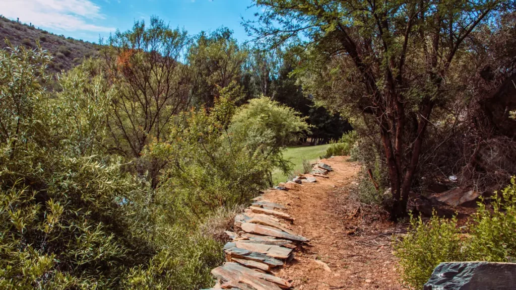 guided hiking trails (3)