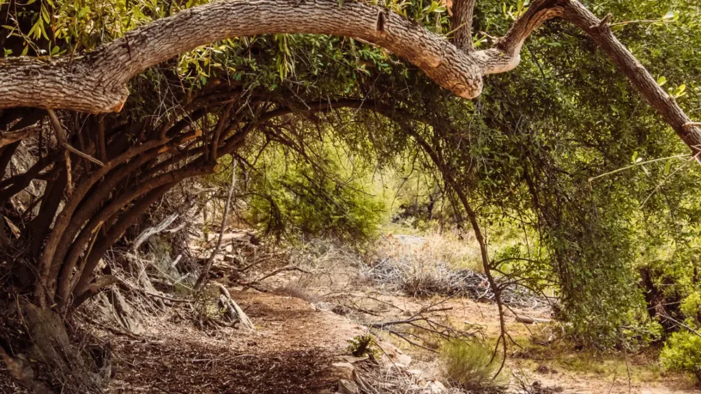 guided hiking trails (5)